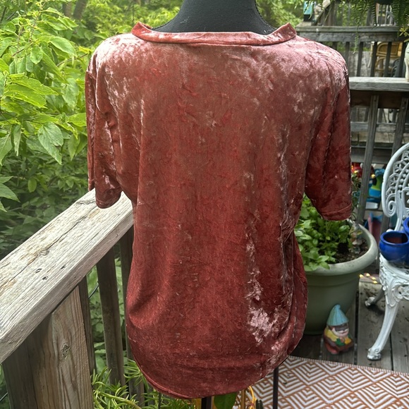 Vintage Coral Pink Velvet Velour Top - Picture 4 of 5